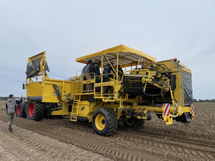 Ziemniak vs. kamień. 3 Ogólnopolskie Targi Ziemniaczane za nami Ziemniak vs. kamień. 3 Ogólnopolskie Targi Ziemniaczane za nami