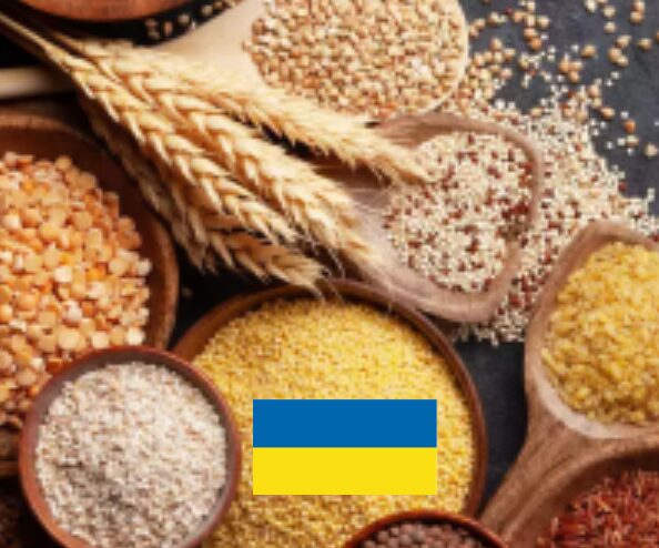 Zbiory na Ukrainie