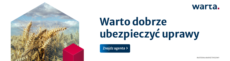 spot_img