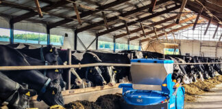 Robot Lizard dla gospodarstw mlecznych od firmy Euromilk