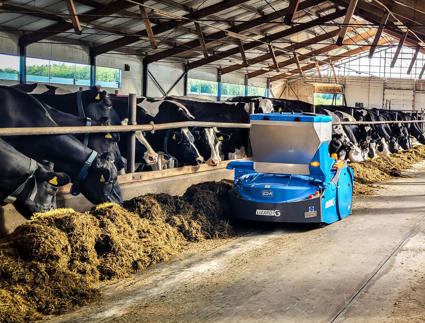 Robot Lizard dla gospodarstw mlecznych od firmy Euromilk