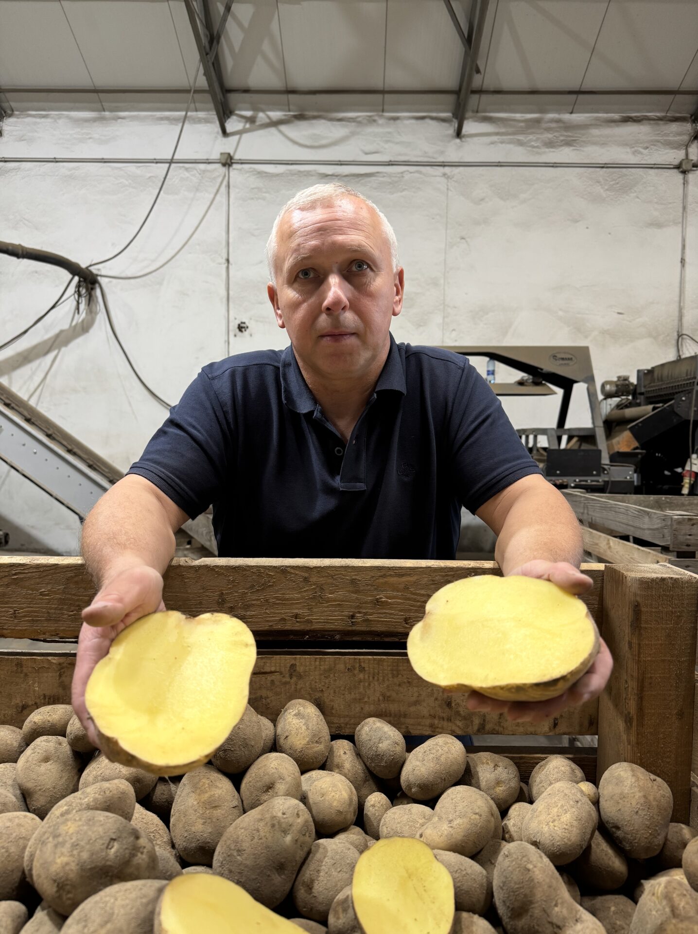 Ziemniaczany patriotyzm. Jak wspierać krajową produkcję? [REPORTAŻ]