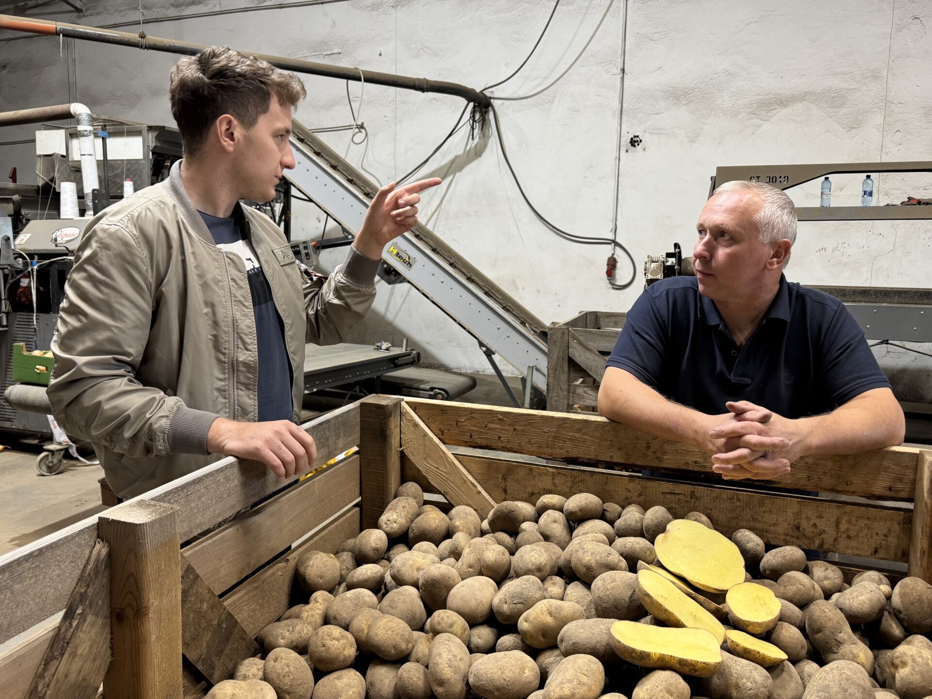 Jak przechowywać ziemniaki po wykopkach?