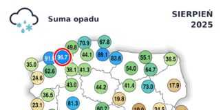 Sierpień 2025 Opady