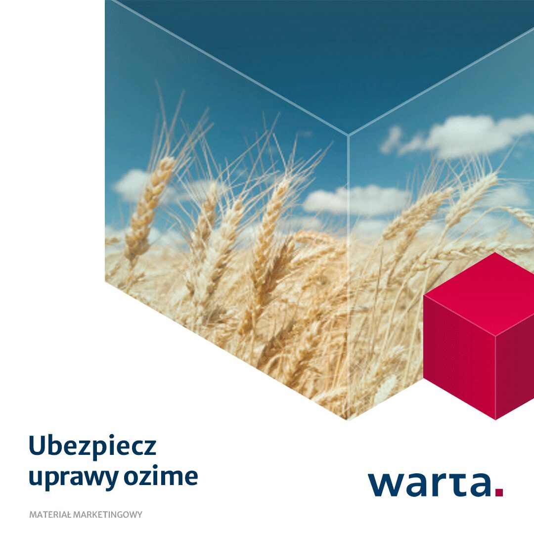 Od czego trzeba, a od czego warto ubezpieczyć zboża?