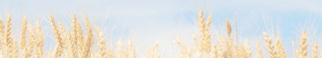 spot_img