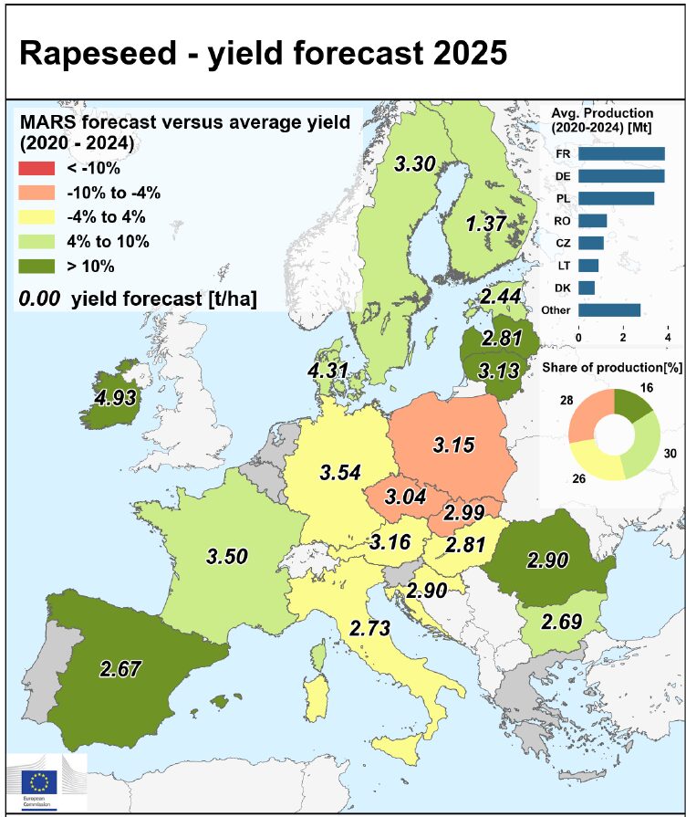 KE: Zbiory rzepaku w Polsce najniższe od 4 lat? 2