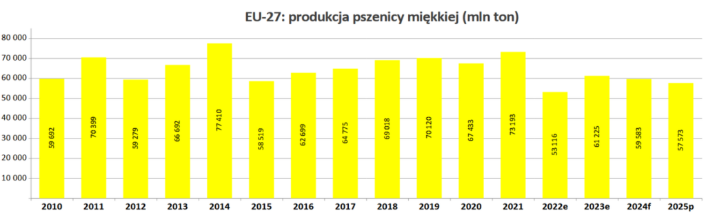 Zbiory pszenicy w Unii Europejskiej wzrosły o 15% w skali roku 4