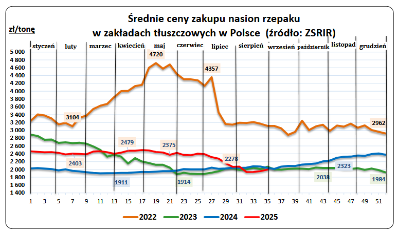 Ceny zbóż w skupie (też rzepaku) wzrosły minimalnie w końcówce sierpnia - MRiRW 5