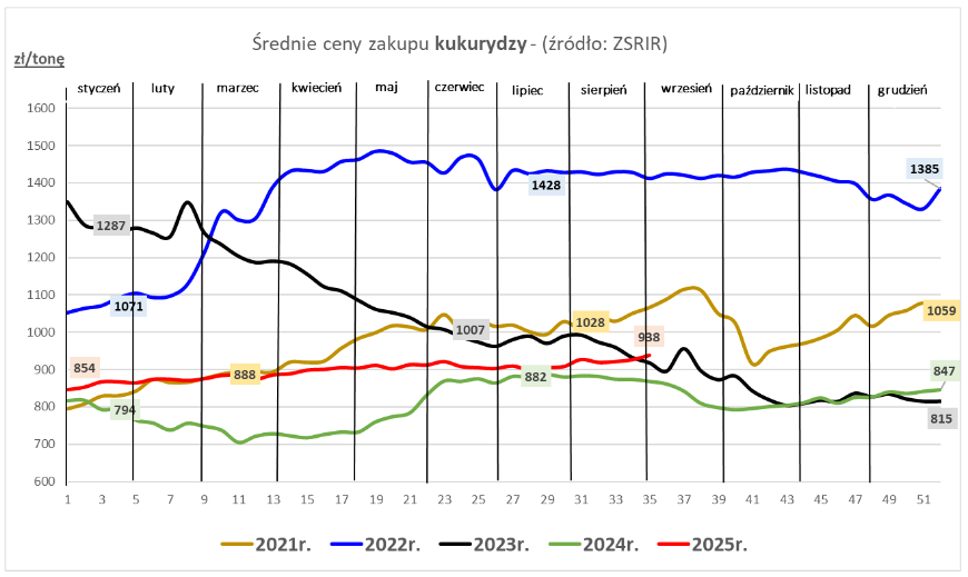 Ceny zbóż w skupie (też rzepaku) wzrosły minimalnie w końcówce sierpnia - MRiRW 3