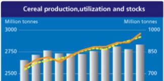 Zbiory zbóż na świecie, podobnie jak zapasy, powinny być rekordowe w sezonie 2025/26 Zbiory zbóż na świecie - FAO
