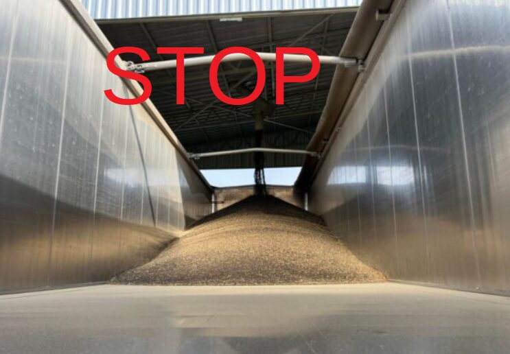 Rzepak z Ukrainy nie wyjeżdża po wprowadzeniu ceł