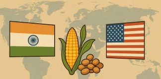 Kukurydza i soja USA–Indie: globalna gra handlowa i konsekwencje dla polskich rolników USA-Indie negocjacje handlowe