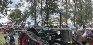 Festiwal w Wilkowicach po czesku