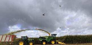 Nowe sieczkarnie John Deere w krainie mlekiem płynącej