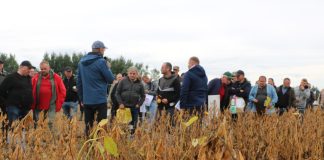Dni Pola Wialan. Jesienne trio – soja, kukurydza i międzyplony Dni Pola Wialan