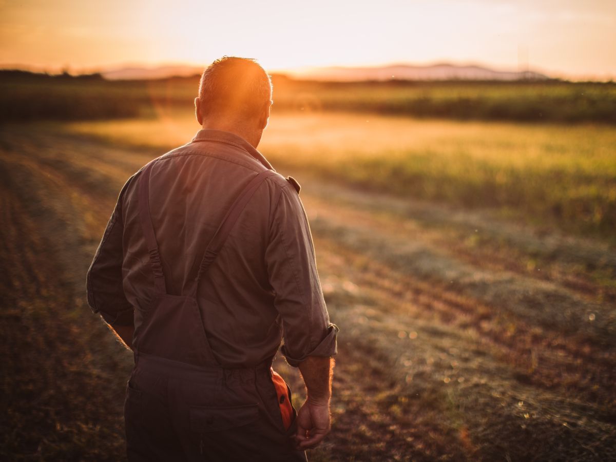 Ile ziemi rolnej można kupić nie będąc rolnikiem?