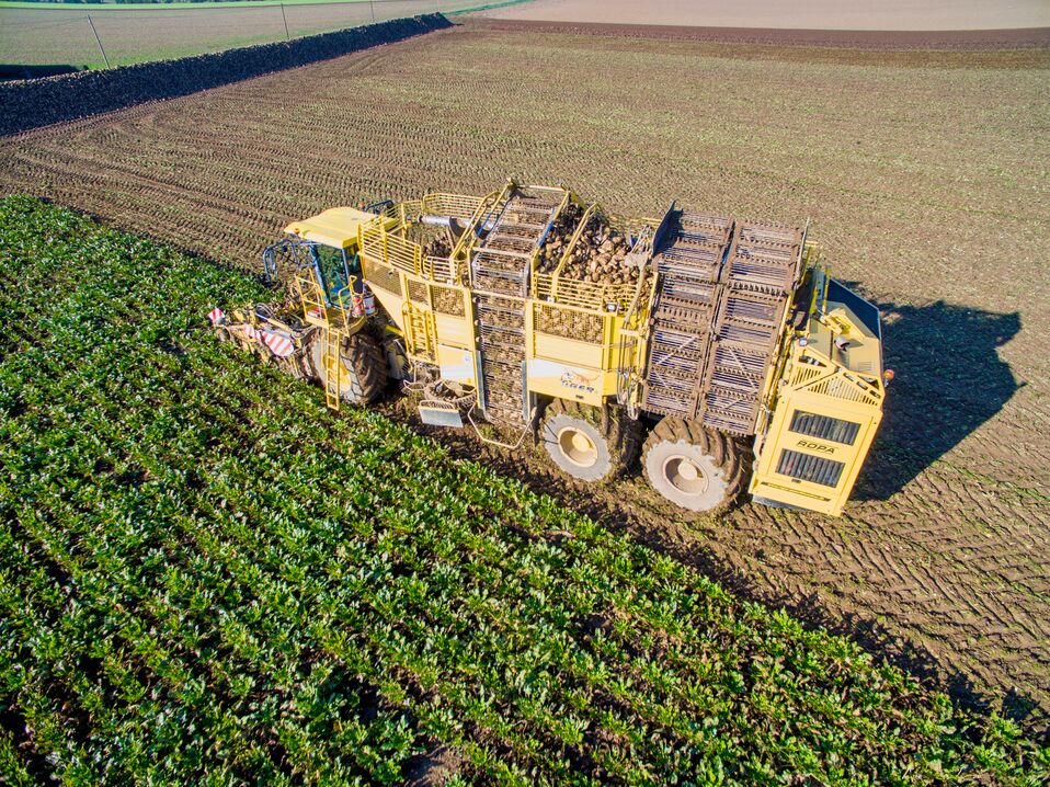 Kampania buraczana 2025 w Pfeifer & Langen idzie lepiej niż zakładano