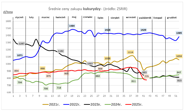 Ceny zbóż w skupie spadły w III tygodniu października - MRiRW 3