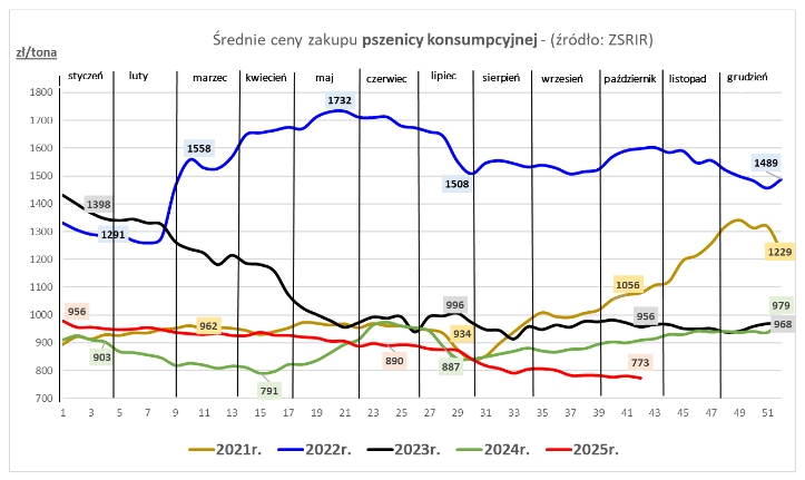 Ceny zbóż w skupie spadły w III tygodniu października - MRiRW 2