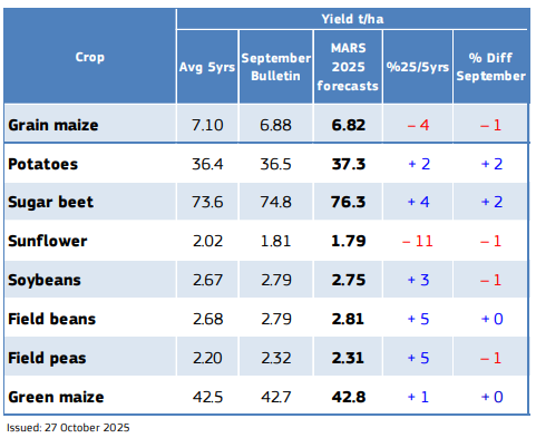 KE obniżyła szacunki plonowania dla kukurydzy na ziarno i słonecznika 1