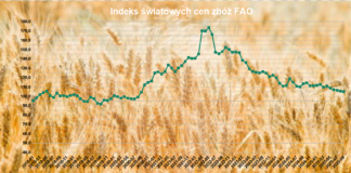 Indeks światowych cen zbóż FAO