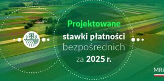 projekty rozporządzeń określających wysokość stawek płatności bezpośrednich za 2025 r.