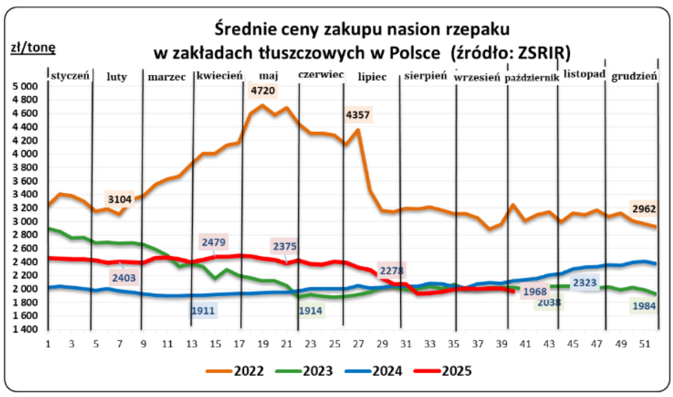Ceny zbóż w skupie (też rzepaku) spadły w I tygodniu października - MRiRW 5