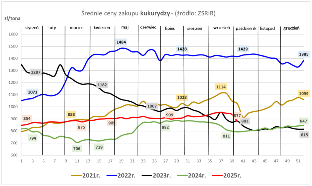 Ceny zbóż w skupie (też rzepaku) spadły w I tygodniu października - MRiRW 3
