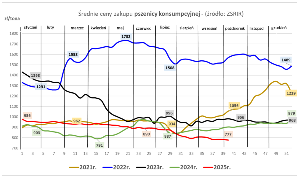 Ceny zbóż w skupie (też rzepaku) spadły w I tygodniu października - MRiRW 2
