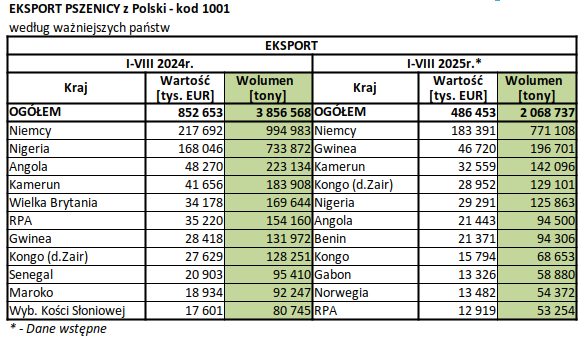 Eksport pszenicy z Polski obniżył się o blisko połowę w okresie I-VIII 2025 roku 3