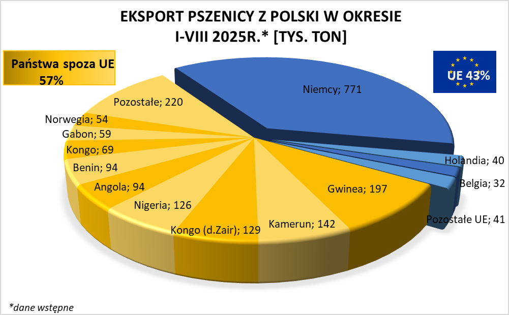 Eksport pszenicy z Polski obniżył się o blisko połowę w okresie I-VIII 2025 roku 2