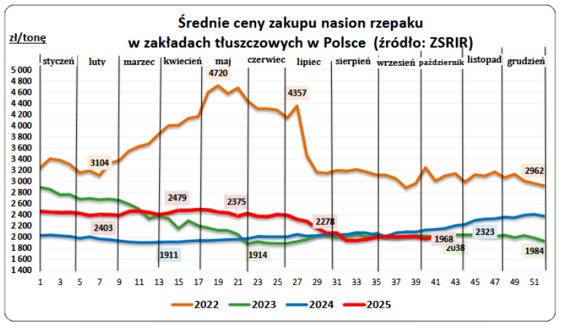 Ceny zbóż w skupie spadły w III tygodniu października - MRiRW 5