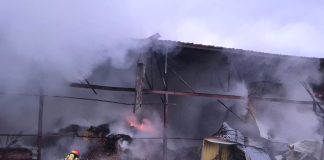 Płomienie sięgały nieba! Strażacy walczyli z pożarem przez 15 godzin. W jednej chwili stracili zboże, sprzęt i zwierzęta