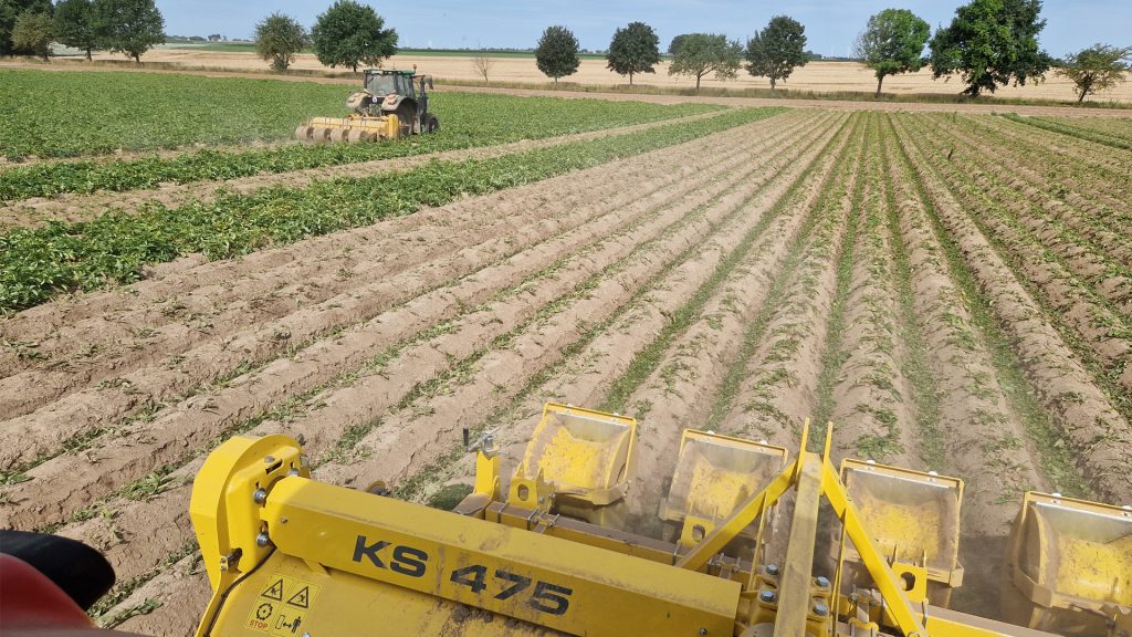 Nowoczesne technologie w uprawie ziemniaków 2025 – automatyzacja, precyzja i jakość plonu 2 Nowoczesne technologie w uprawie ziemniaków 2025 – automatyzacja, precyzja i jakość plonu