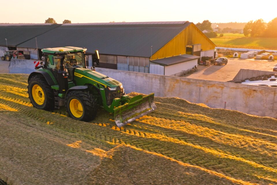 Wyższa strawność włókna w kiszonkach – sprawdzony sposób na wyższą wydajność mleka na Podlasiu