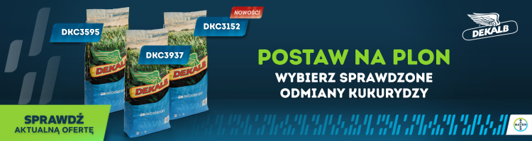 Odmiany kukurydzy na sezon 2025/2026. Co proponują hodowle i firmy nasienne? 1 https://www.agro.bayer.com.pl/produkty/nasiona/kukurydza