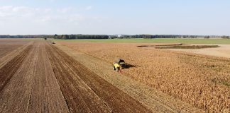 Sytuacja w rolnictwie