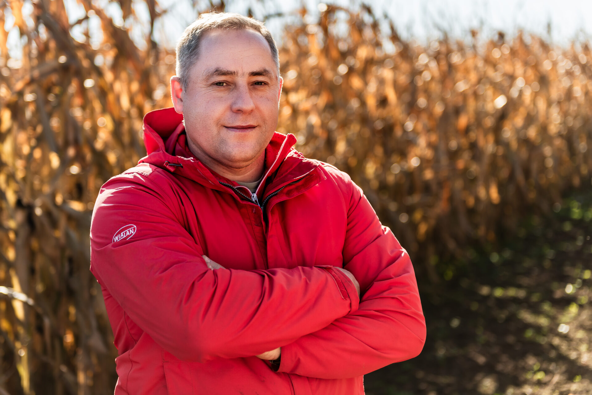 Odmiany kukurydzy na sezon 2025/2026. Co proponują dystrybucje?