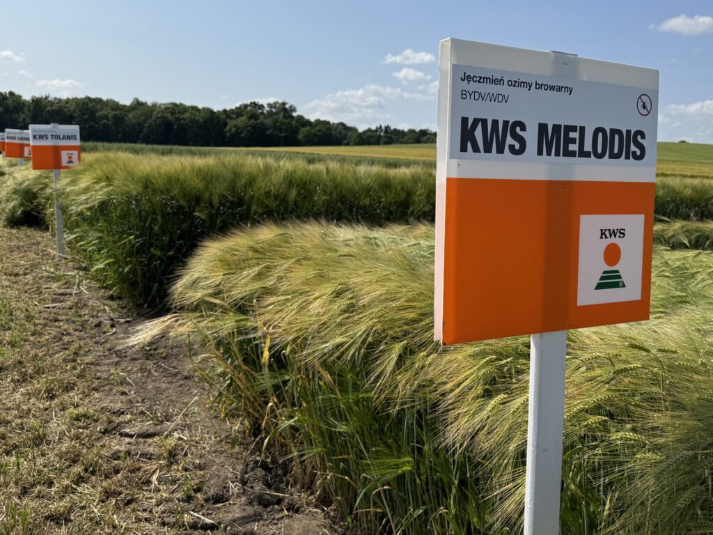 integrowana produkcja jęczmienia
