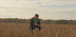 Interesuje Cię uprawa soi? SPRAWDŹ, co radzi doświadczony rolnik