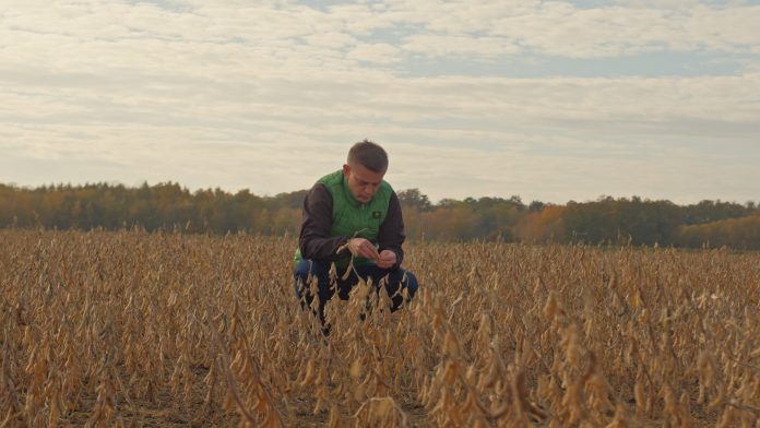 Interesuje Cię uprawa soi? SPRAWDŹ, co radzi doświadczony rolnik