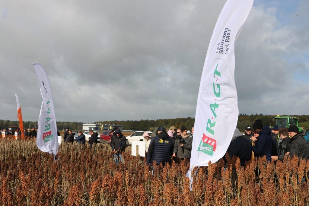 Dzień sorga i międzyplonów – unikatowe wydarzenie na skalę Polski 2