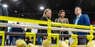 Poultry Tech 2025 – najważniejsze targi technologii drobiarskich w Polsce Poultry Tech 2025 – najważniejsze targi technologii drobiarskich w Polsce