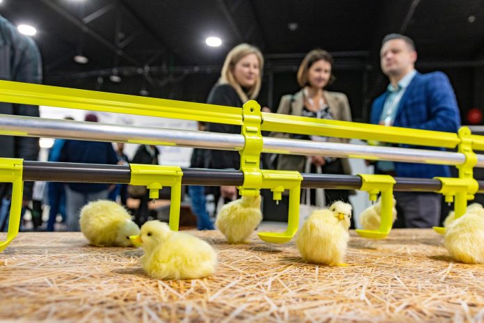 Poultry Tech 2025 – najważniejsze targi technologii drobiarskich w Polsce Poultry Tech 2025 – najważniejsze targi technologii drobiarskich w Polsce