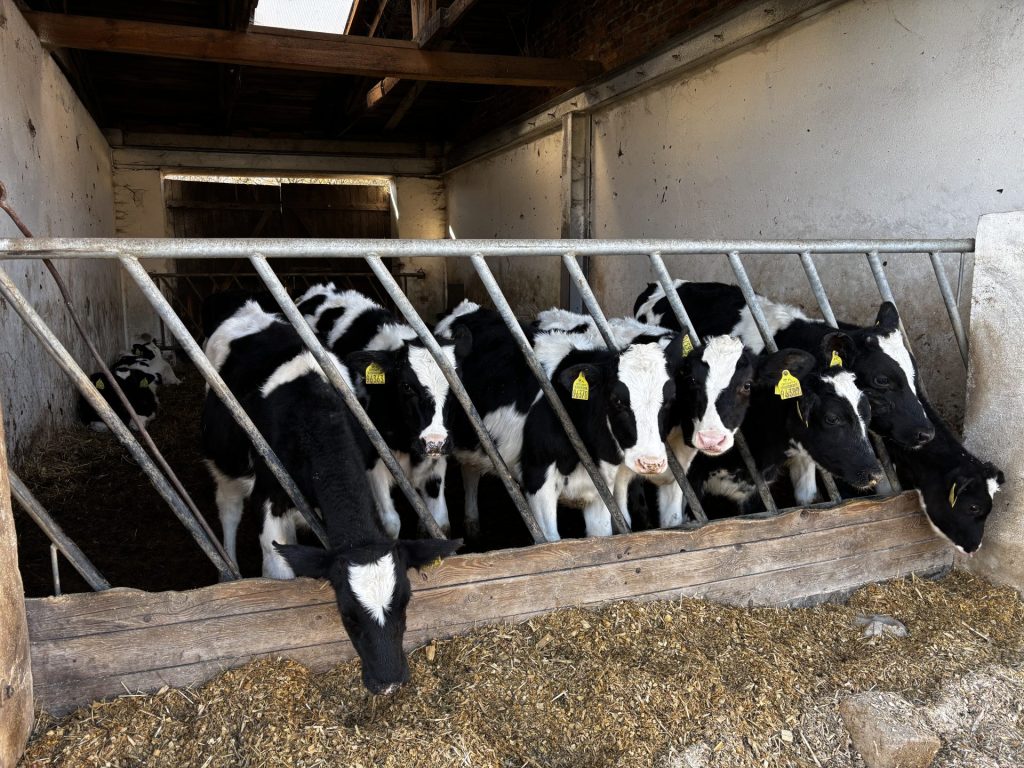 Serbscy dziennikarze z wizytą w Polsce 8 Serbscy dziennikarze z wizytą w Polsce