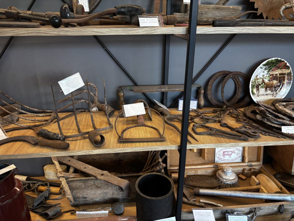 Serbscy dziennikarze z wizytą w Polsce 21 Serbscy dziennikarze z wizytą w Polsce