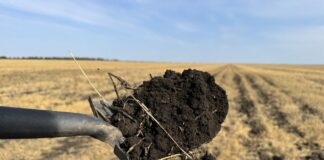 Badanie gleby na azot mineralny