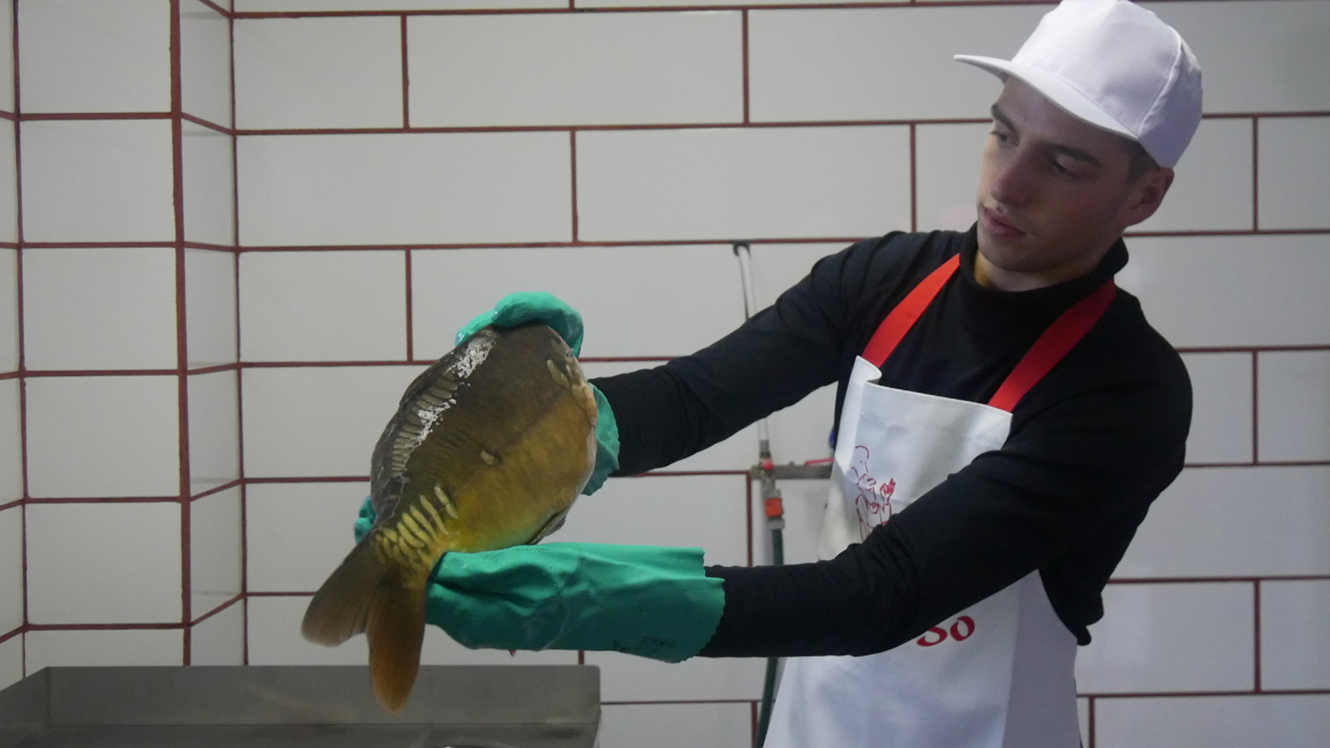 Jesienne odłowy ryb