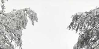 Pod naporem śniegu w Białej Niżnej zawaliła się obora. Miejscami spadło 60 cm mokrego śniegu Powiat jarosławski, miejscowość Węgierka i Wola węgierska